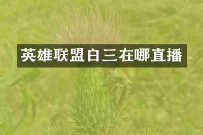 英雄联盟白三在哪直播