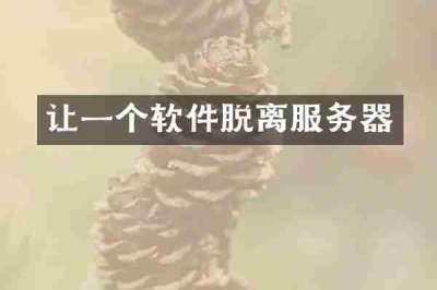 让一个软件脱离服务器