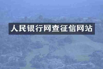 人民银行网查征信网站