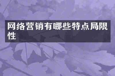 网络营销有哪些特点局限性