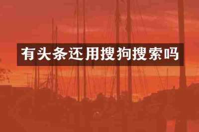 有头条还用搜狗搜索吗