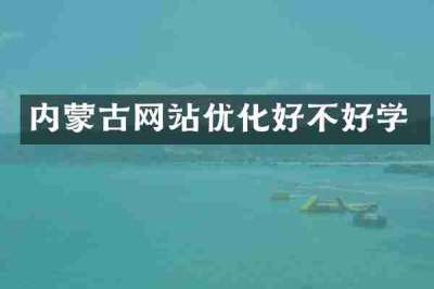 内蒙古网站优化好不好学