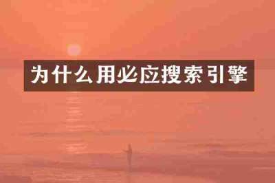 为什么用必应搜索引擎