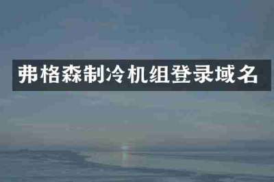 弗格森制冷机组登录域名