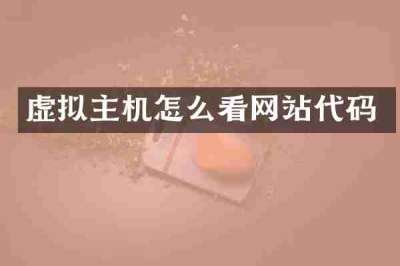 虚拟主机怎么看网站代码