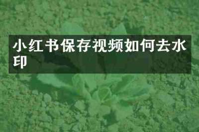 小红书保存视频如何去水印