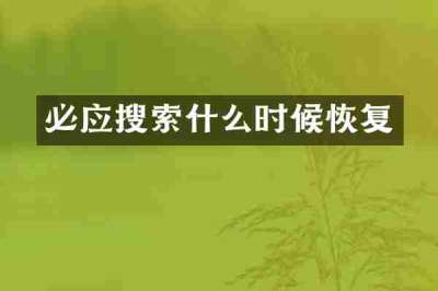 必应搜索什么时候恢复