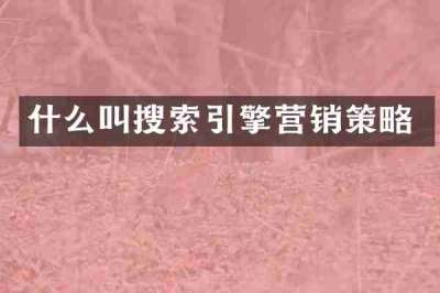 什么叫搜索引擎营销策略