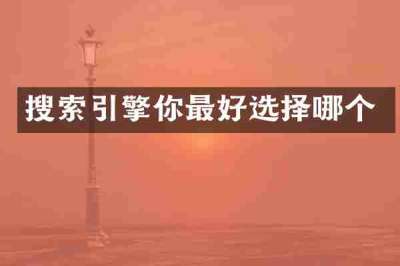 搜索引擎你最好选择哪个
