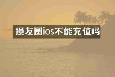 损友圈ios不能充值吗