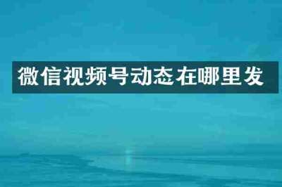 微信视频号动态在哪里发