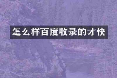 怎么样百度收录的才快