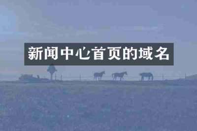 新闻中心首页的域名