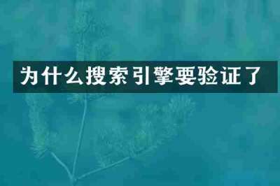 为什么搜索引擎要验证了