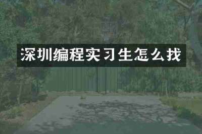 深圳编程实习生怎么找