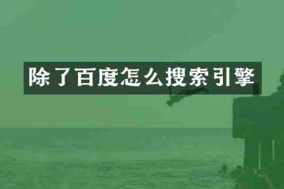 除了百度怎么搜索引擎