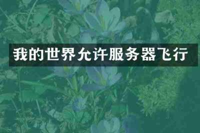 我的世界允许服务器飞行