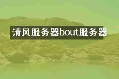清风服务器bout服务器