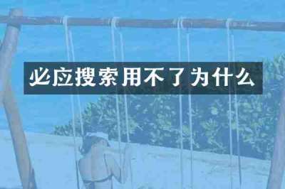 必应搜索用不了为什么