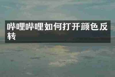 哔哩哔哩如何打开颜色反转
