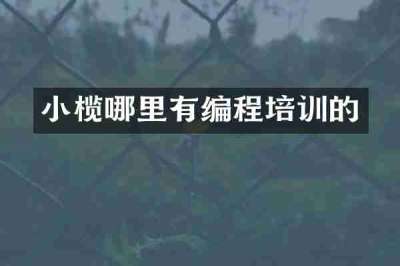 小榄哪里有编程培训的