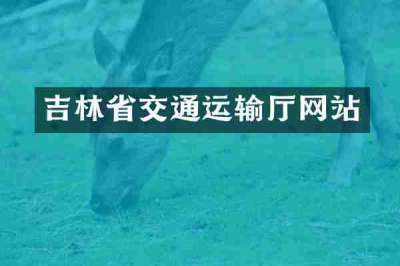 吉林省交通运输厅网站