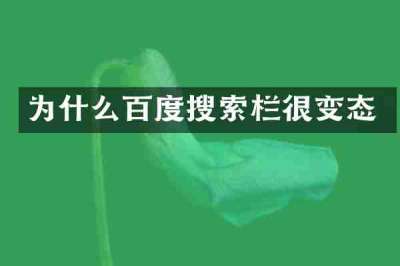 为什么百度搜索栏很变态