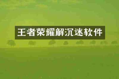 王者荣耀解沉迷软件