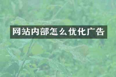 网站内部怎么优化广告