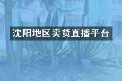 沈阳地区卖货直播平台