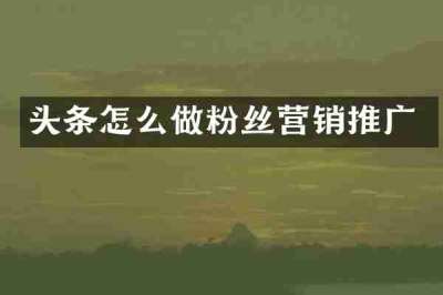 头条怎么做粉丝营销推广