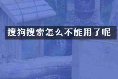 搜狗搜索怎么不能用了呢
