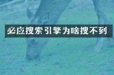 必应搜索引擎为啥搜不到