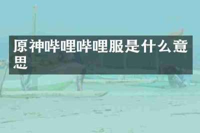 原神哔哩哔哩服是什么意思