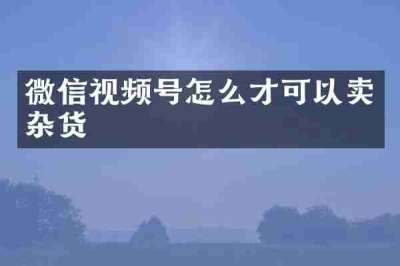 微信视频号怎么才可以卖杂货