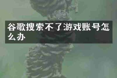 谷歌搜索不了游戏账号怎么办