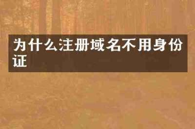 为什么注册域名不用身份证