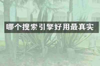 哪个搜索引擎好用最真实