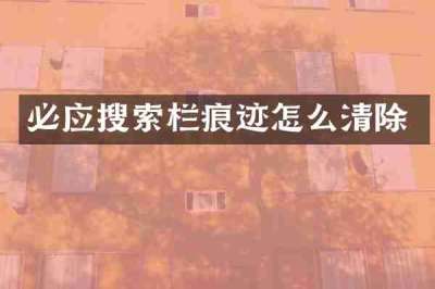 必应搜索栏痕迹怎么清除