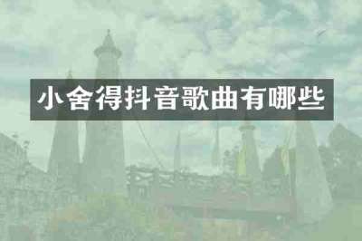 小舍得抖音歌曲有哪些