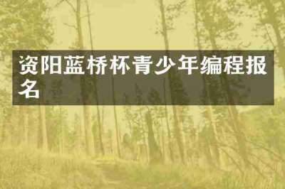 资阳蓝桥杯青少年编程报名