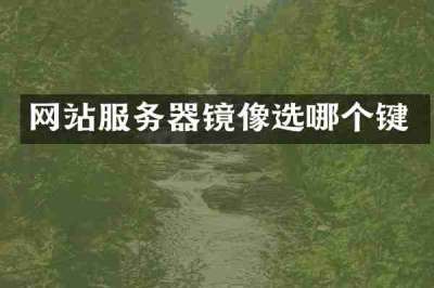 网站服务器镜像选哪个键