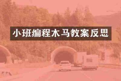 小班编程木马教案反思