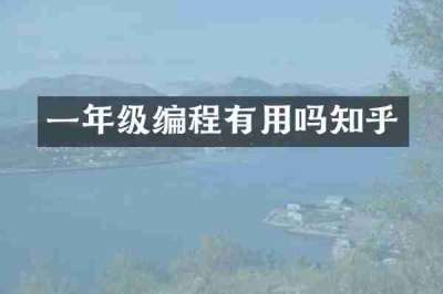 一年级编程有用吗知乎