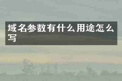 域名参数有什么用途怎么写