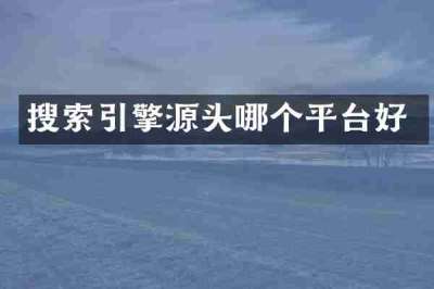 搜索引擎源头哪个平台好