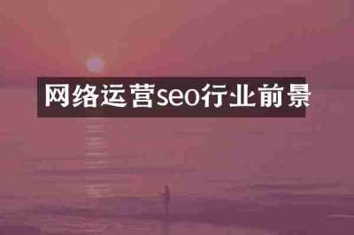 网络运营seo行业前景