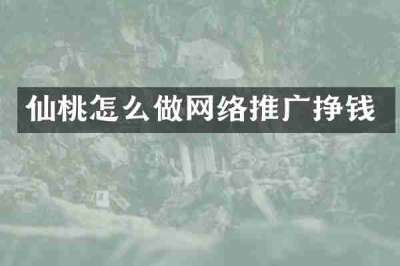 仙桃怎么做网络推广挣钱