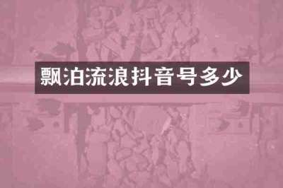 飘泊流浪抖音号多少