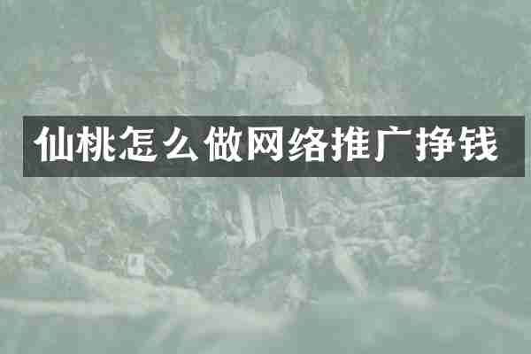 仙桃怎么做网络推广挣钱